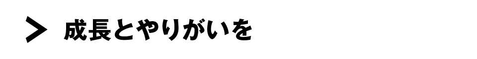 成長とやりがいを