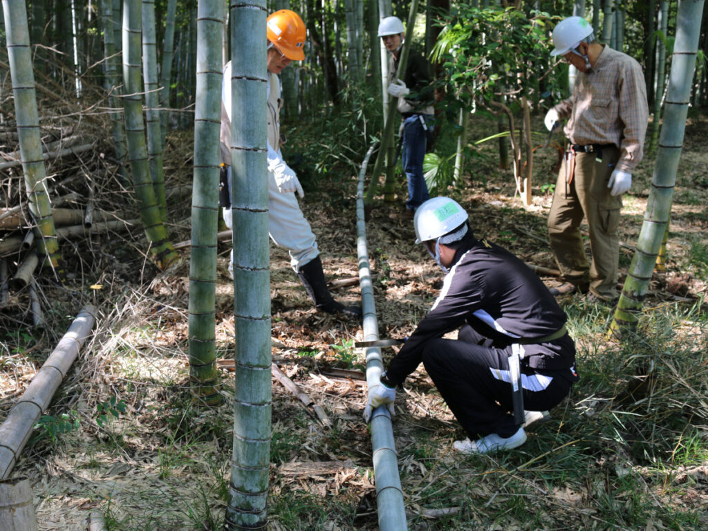 写真：里山保全活動の様子